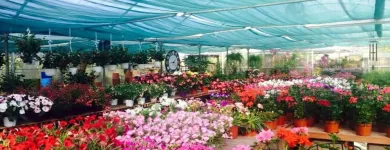 Immagine 1 azienda VIVAIO TARONI Vivaio in Roma