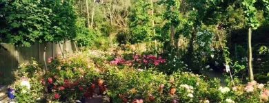 Immagine 3 azienda VIVAIO TARONI Vivaio in Roma