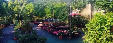 Immagine 4 azienda VIVAIO TARONI Vivaio in Roma