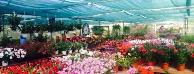 Immagine 5 azienda VIVAIO TARONI Vivaio in Roma