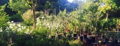 Immagine 6 azienda VIVAIO TARONI Vivaio in Roma