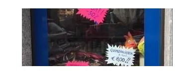 Immagine 2 azienda ZAMPE & ZAMPE Servizi professionali in Nichelino TO