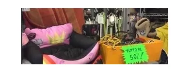 Immagine 6 azienda ZAMPE & ZAMPE Servizi professionali in Nichelino TO