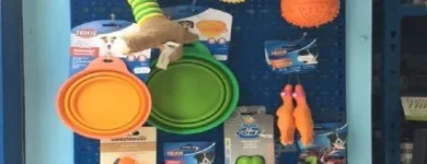 Immagine 1 azienda ZAMPETTANDO SAS Shopping e acquisti in Torino