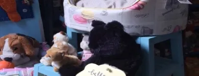 Immagine 2 azienda ZAMPETTANDO SAS Shopping e acquisti in Torino