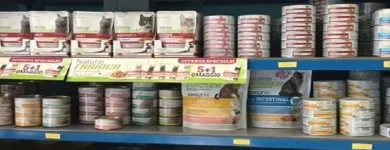 Immagine 3 azienda ZAMPETTANDO SAS Shopping e acquisti in Torino