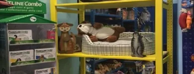 Immagine 5 azienda ZAMPETTANDO SAS Shopping e acquisti in Torino