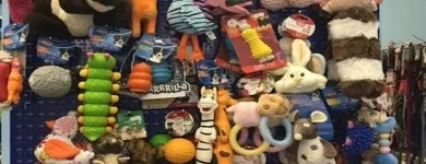 Immagine 7 azienda ZAMPETTANDO SAS Shopping e acquisti in Torino