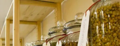 Immagine 3 azienda ZENZERO ERBORISTERIA Shopping e acquisti in Appiano Gentile