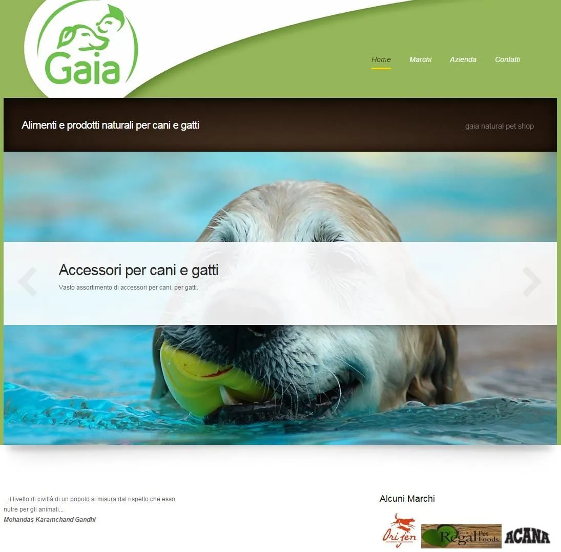 Immagine 15 azienda DIGITALE NETWORK DI G.FACCHINI