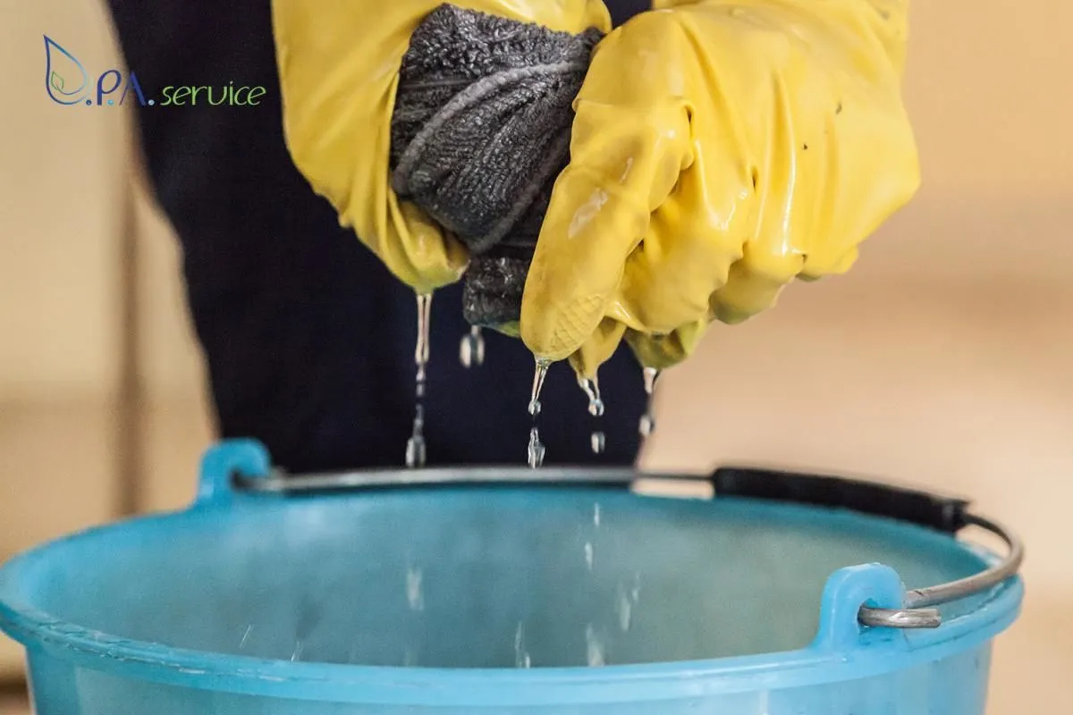 Immagine 2 azienda DPA SERVICE S.R.L.