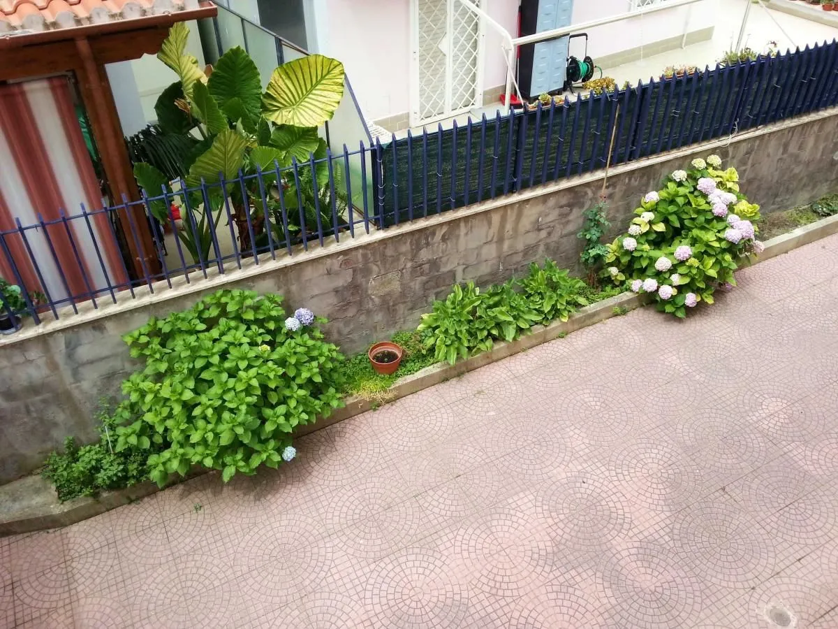 Immagine 6 azienda MICHELANGELO APARTMENT