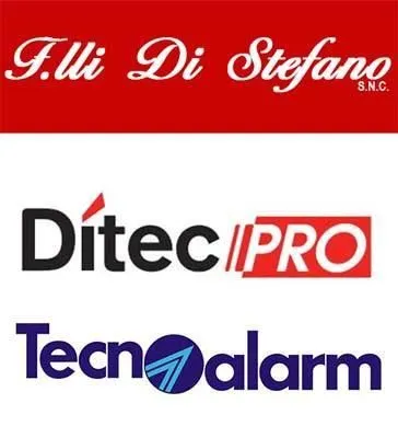 Immagine 2 azienda F.LLI DI STEFANO