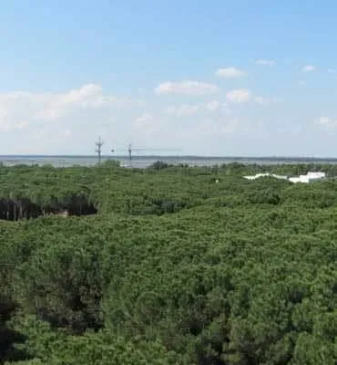 Immagine 7 azienda AGENZIA IMMOBILIARE RAVENNA SERVIZI