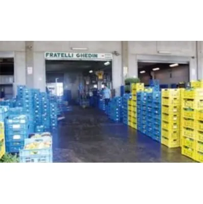 Immagine 1 azienda F.LLI GHEDIN S.A.S. DI GHEDIN PIETRO E C.