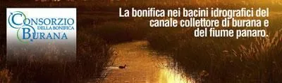 Immagine 6 azienda CONSORZIO DELLA BONIFICA BURANA