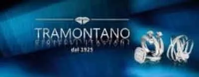 Immagine 3 azienda GIOIELLERIA RIFLESSI D'ARGENTO