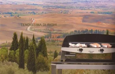 Immagine 3 azienda TENDISSIMA DI RIGHI EMILIO