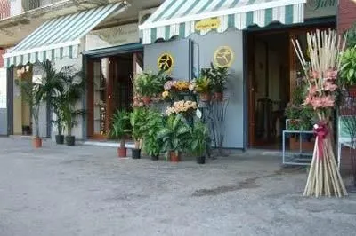Immagine 4 azienda ANGOLO DEI FIORI