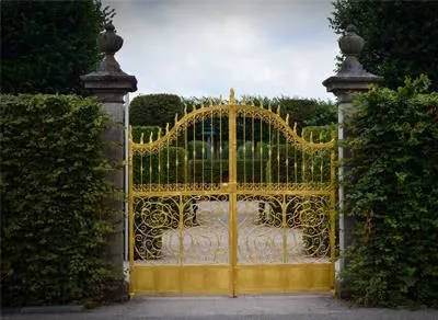 Immagine 1 azienda COZZOLINO