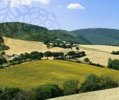 Immagine 2 azienda AGRITURISMO IL GELSO
