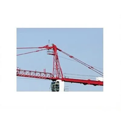 Immagine 2 azienda A.G.E.