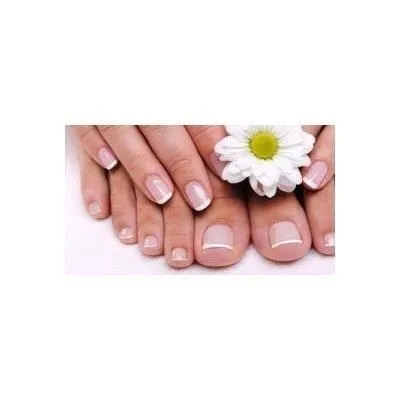 Immagine 2 azienda SALONE LADY LINE