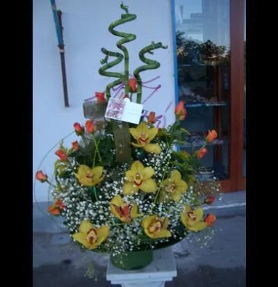 Immagine 8 azienda ANGOLO DEI FIORI