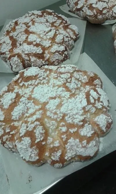 Immagine 1 azienda VANILÙ