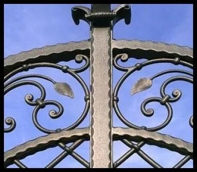 Immagine 3 azienda CF COSTANTINI FABIO