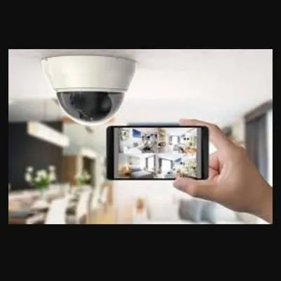 Immagine 4 azienda VIGIL SERVICE