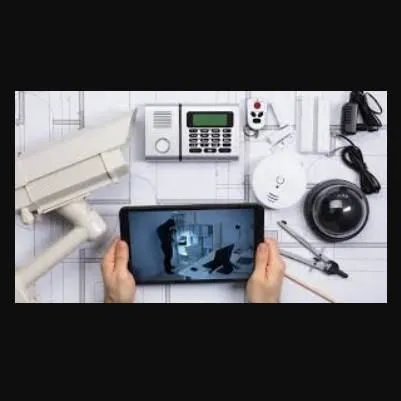 Immagine 5 azienda VIGIL SERVICE