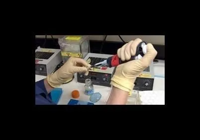 Immagine 3 azienda STUDIO CAMUS ECOLOGIA