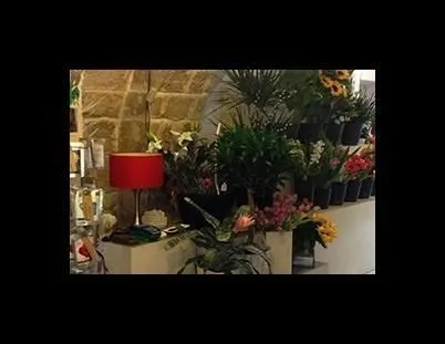 Immagine 4 azienda FIORI D'ARANCIO