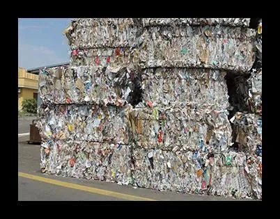 Immagine 4 azienda CARTA DA MACERO GALATEA