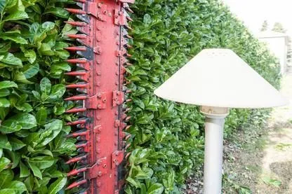 Immagine 11 azienda EDEN GARDEN