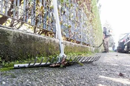 Immagine 8 azienda EDEN GARDEN