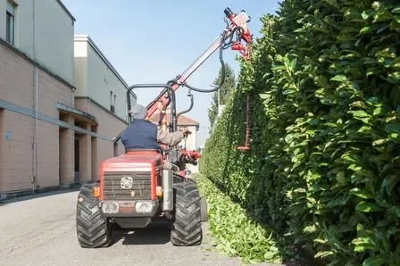 Immagine 4 azienda EDEN GARDEN