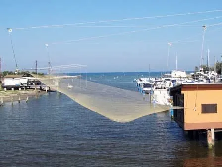 Immagine 3 azienda AGENZIA IMMOBILIARE RAVENNA SERVIZI