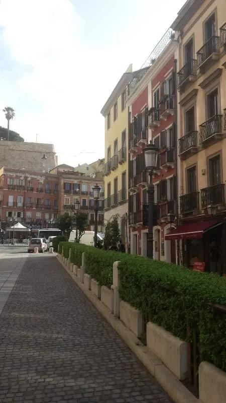 Immagine 3 azienda PUDDU AVV. ENRICO