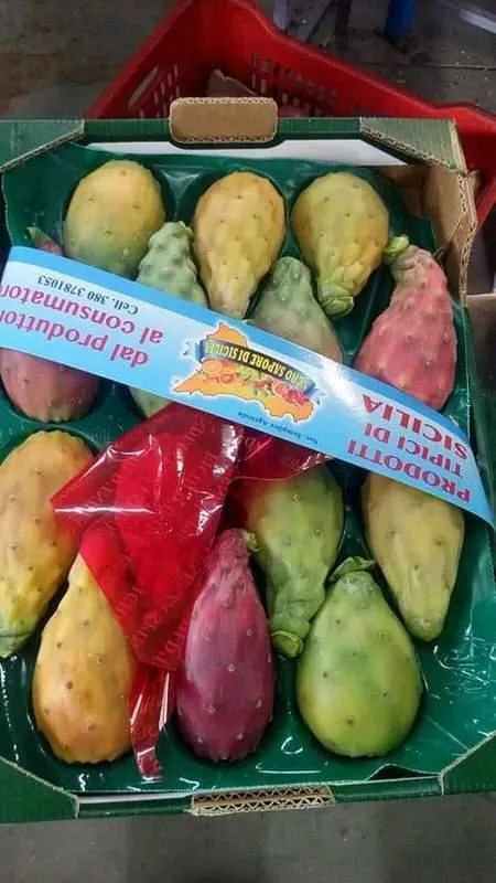 Immagine 4 azienda VERO SAPORE DI SICILIA