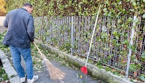 Immagine 13 azienda EDEN GARDEN