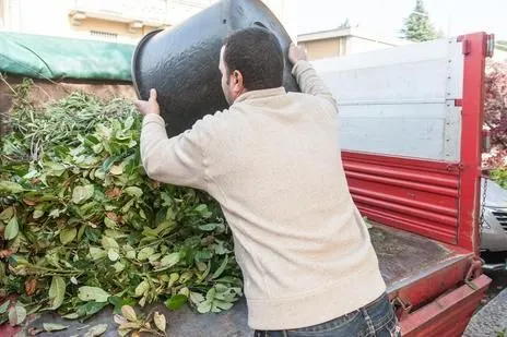 Immagine 14 azienda EDEN GARDEN