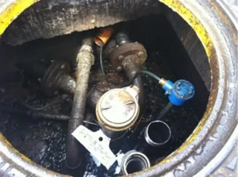 Immagine 3 azienda ECOLOGIA VERGARA
