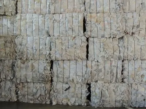 Immagine 1 azienda CARTA DA MACERO GALATEA
