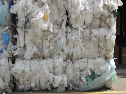 Immagine 2 azienda CARTA DA MACERO GALATEA
