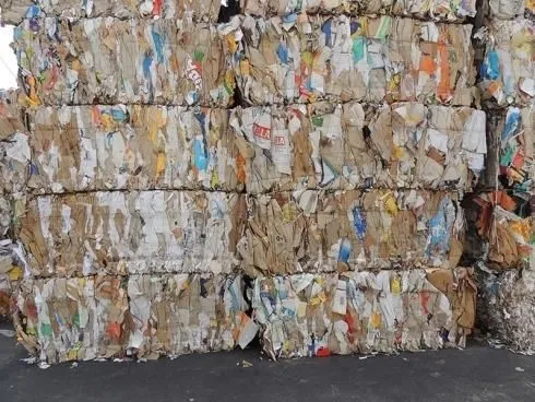 Immagine 3 azienda CARTA DA MACERO GALATEA