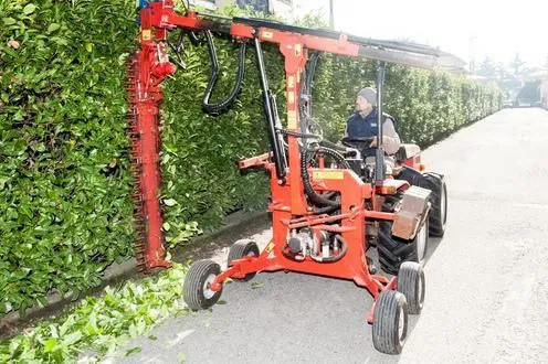 Immagine 2 azienda EDEN GARDEN