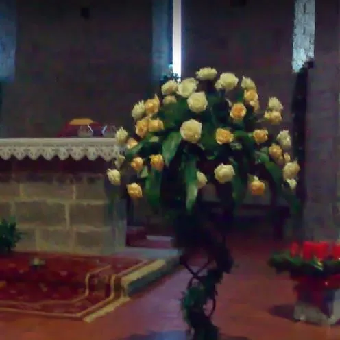 Immagine 2 azienda COLIFIORI AGRICOLI AZIENDA AGRICOLA