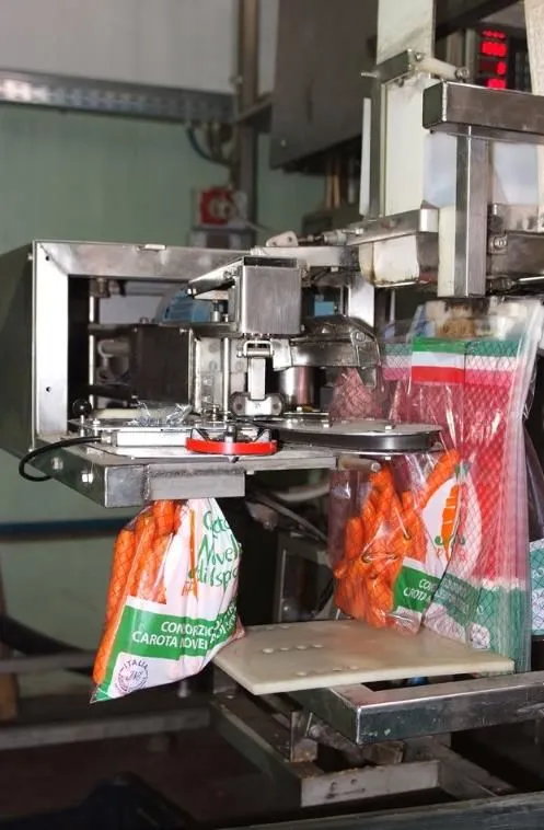 Immagine 4 azienda CONSORZIO DELLA CAROTA NOVELLA DI ISPICA IGP